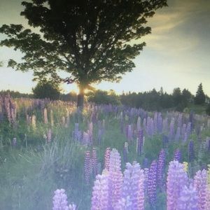 Meet your Posher, Kiera